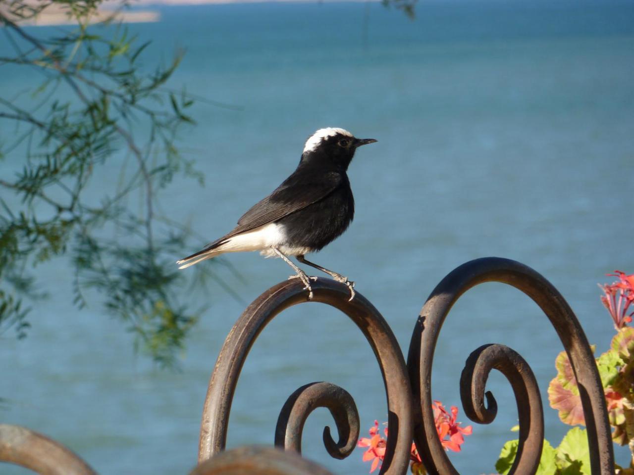 Bed and Breakfast Les Tourmalines Afeggou Esterno foto